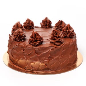 Signature Chocolate Cake